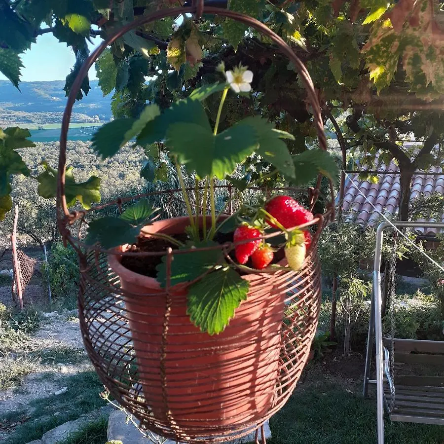 Motovun Bellevue - Amazing View, Comfortable